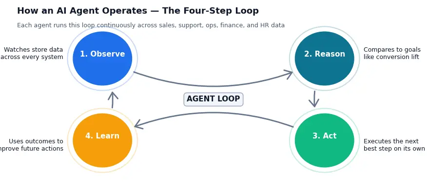 Diagram of how an AI agent for ecommerce works through a four-step loop: observe, reason, act, and learn